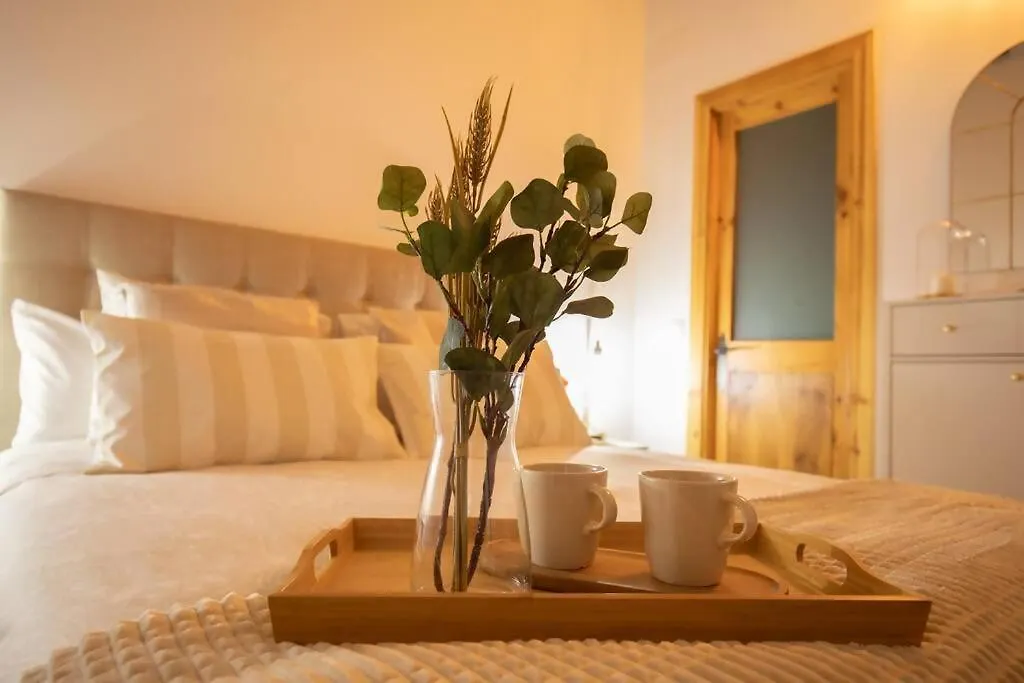 Apartamentos Boutique Hya Toledo 0*,